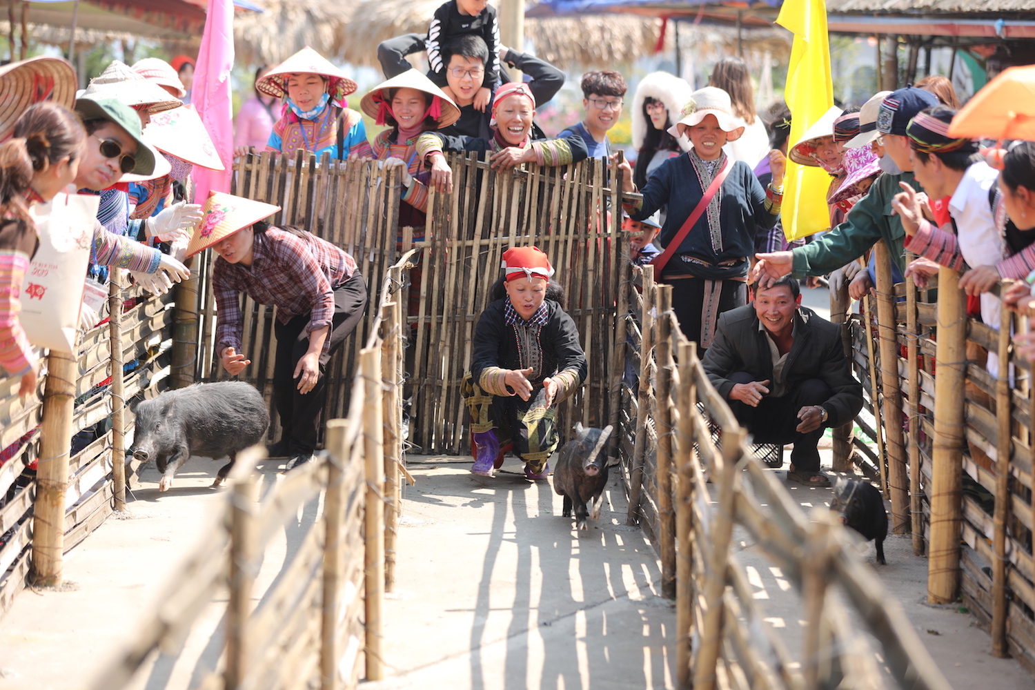 Ngay[-]Fansipan[-]thôi,[-]đủ[-]thấy[-]châu[-]Âu[-]tím[-]biếc[-]nên[-]thơ